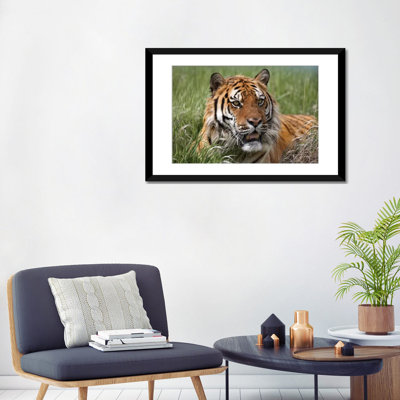 « sibérie tiger, menacée, native to siberia i », reproduction de photo sur toile