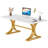 Philipe 63'' Executive Computer Desk with Faux Marble Top and Stylish Metal Legs-134919114