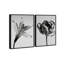 Peeking Flowers Set Set by Oliver Gal-351033437-351033445