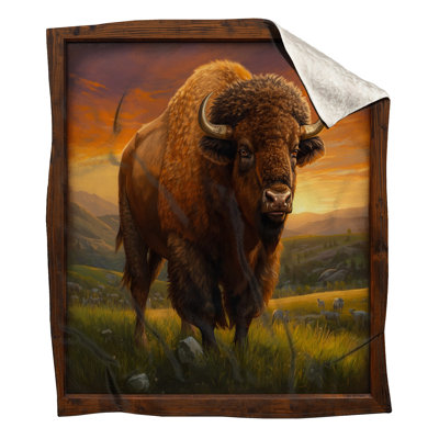 Bison In Grassland Blankets