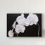 «Dramatic Orchids I» par Sandra Iafrate - reproduction d'art sur toile-1568233725