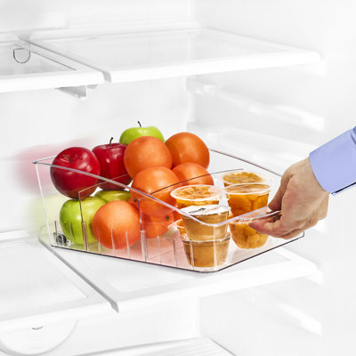 Large Fridge Organizer on Wheels
