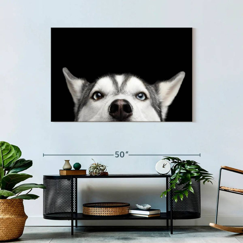 Peeking Siberian Husky, 30" H x 45" W