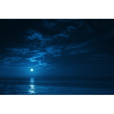 Beautiful Midnight Ocean View with Moonrise by Ricardoreitmeyer
