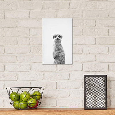Meerkat by Sisi & Seb - Wrapped Canvas Print