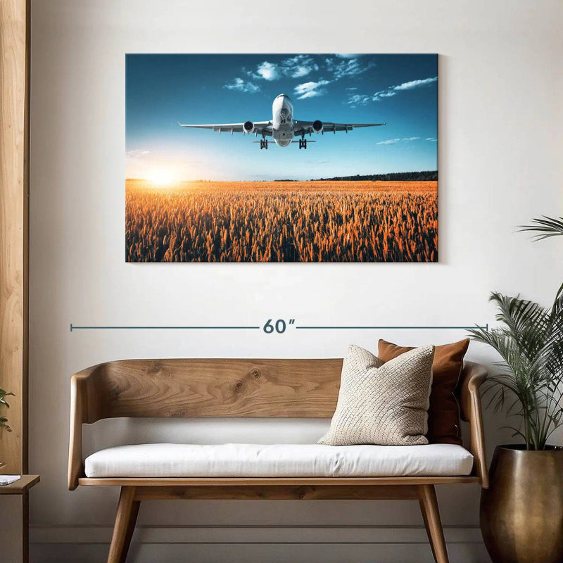 Avion au-dessus d'un champ, H 30 po x l 45 po