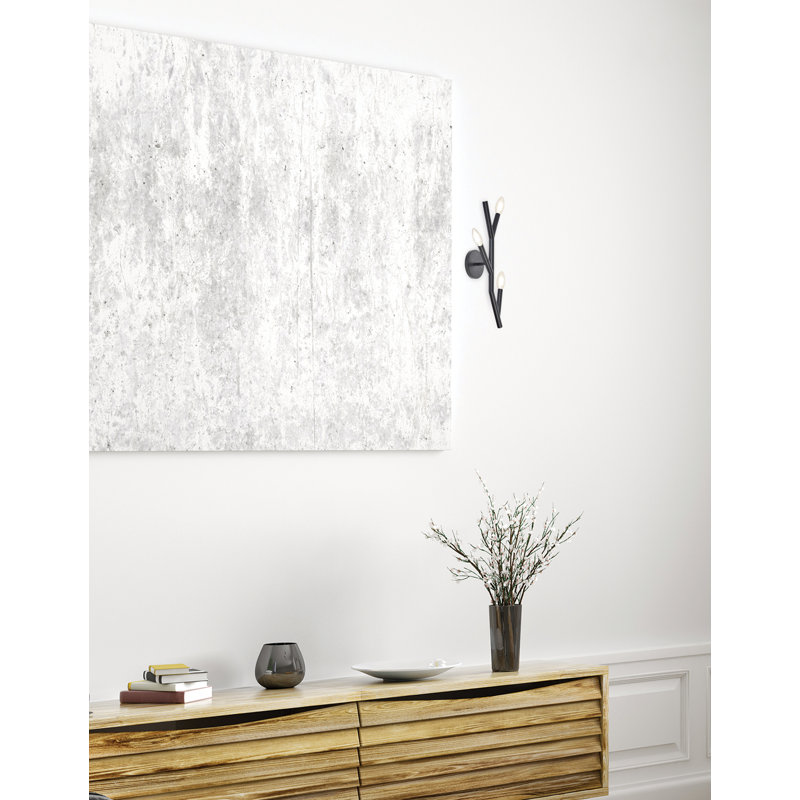 Danazia 3 Light Wall Sconce, Matte Black