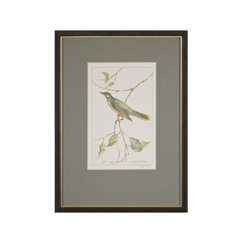 Honeysucker Print