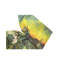 Hand-Knotted High-Quality Area Rug