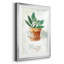 Basilic en pot - ensemble de 3 reproductions de cadres photo-2115350928-2115350942