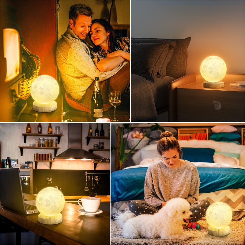 Darriel Wood Globe Lamp