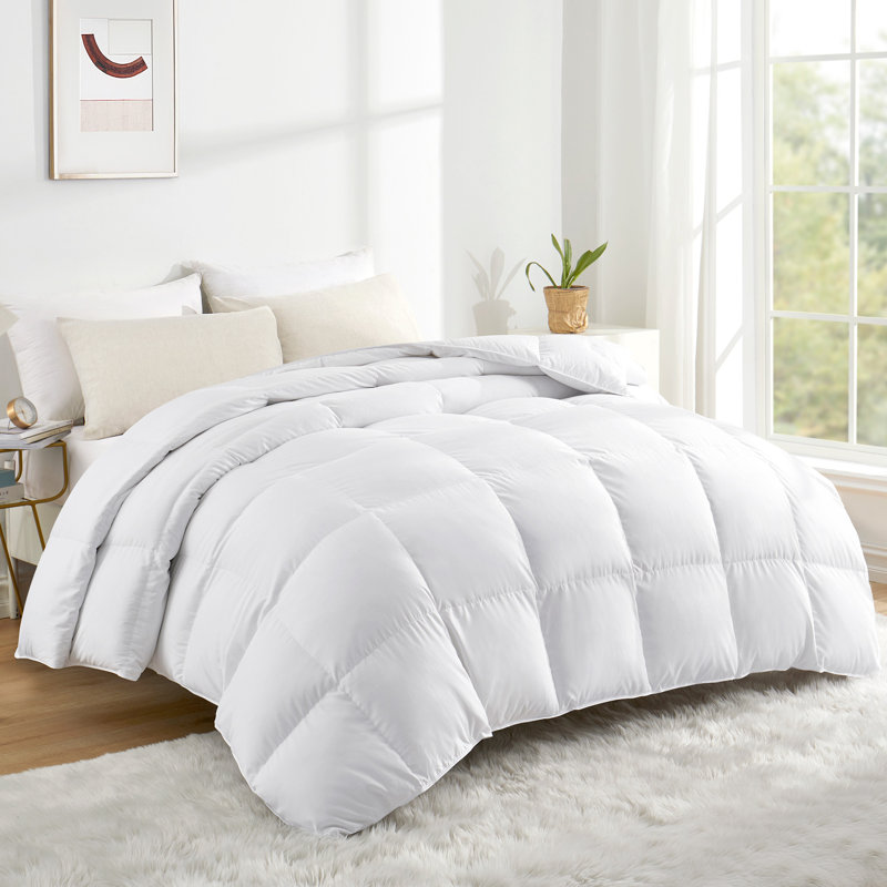 600in³/oz Fill Power Winter Goose Down Comforter, Full/Queen, White