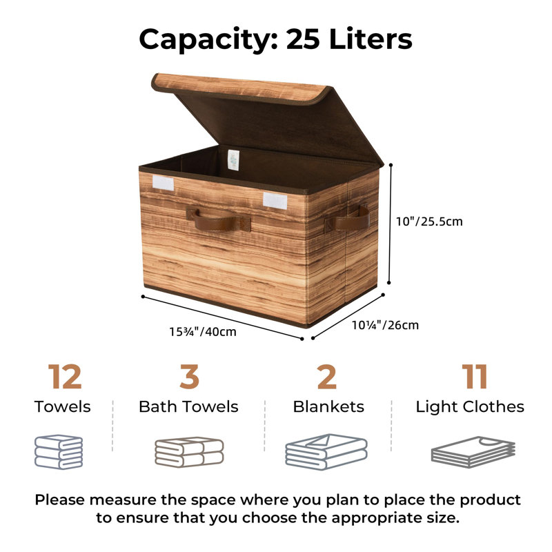 Large Storage Bins with Lids Set of 2, Brown