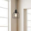Luminaire suspendu simple noir à 1 lumière Reeanna