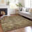  Mahaney Indoor/Outdoor Area Rug with Non-Slip Backing-1656679644