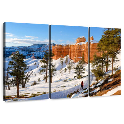 Bryce Canyon Snowy Mountain