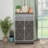 Modern Double Door Mirrored Shoe Cabinet - Brown, Frosted Glass, Silver Accents For Entryway Storage Edging