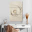 Brampt Nautilus coquille dans le sable-108553927