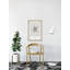 Asteroidea - Single Picture Frame Print-1560860491