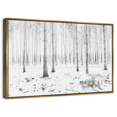 Forêt d'hiver de Langenargen