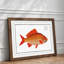 Goldfish by M.E. Bloch - Framed Print-55735535-55735538