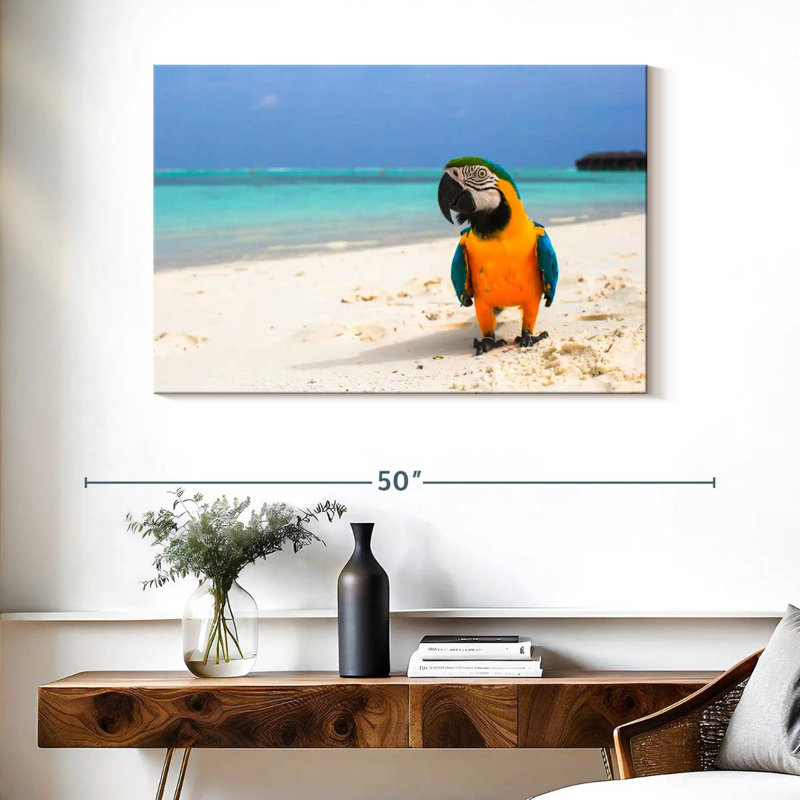 Brampt Parrot On Summer Day