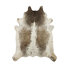 Taupe S/P/Blanc
