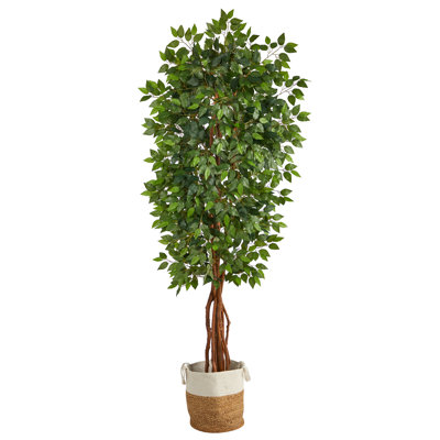 Winslow 90 " H Faux Ficus Tree