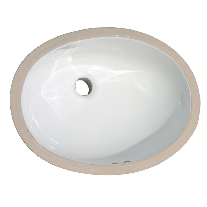 Barclay Rosa 500 16.38'' Vitreous China Oval Bathroom Sink with Overflow, White