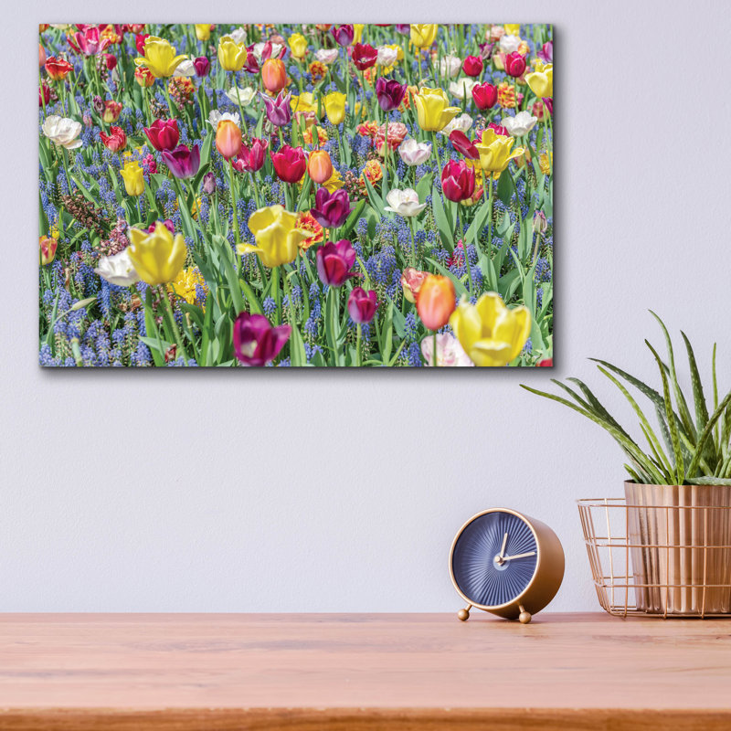 "Tulipes Kuekenhaus I" par Richard Silver, H 12 po x l 16 po x P 0,13 po