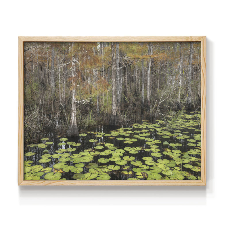 Bayou - reproduction encadrée d'automne, H 8 po x l 10 po, Naturel