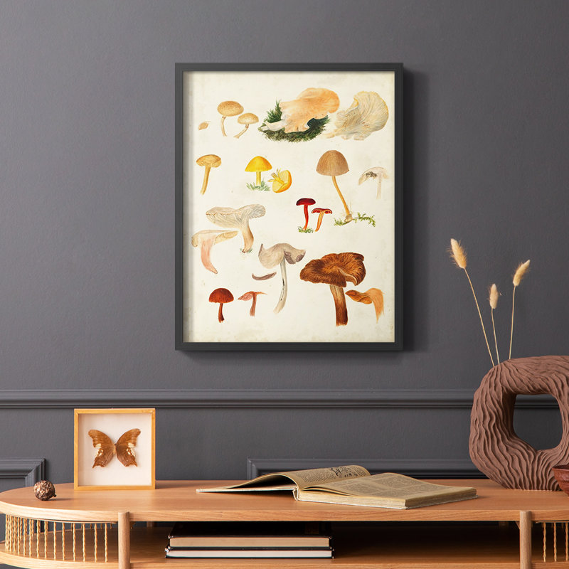 Reproduction encadrée de champignon Mushroom Species, Noir, H 28 po x l 22 po