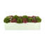 Assorted Sedum and Succulents in Fiberstone Planter