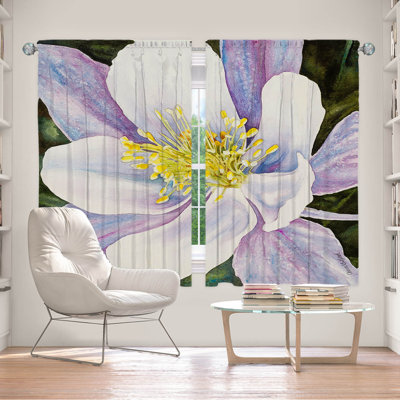 Delaughter Room Darkening Curtains / Drapes Pair