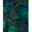 Haydon One-of-a-Kind 6' 1" X 8' 10" Hand Knotted Area Rug