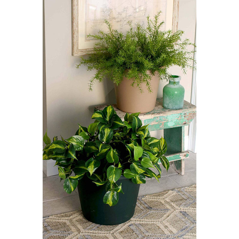 Stalcup Pot Planter, 4