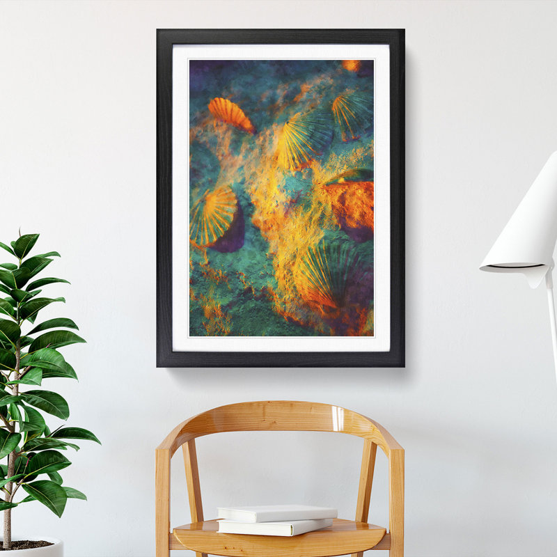 Shells on the Beach Vo.1 - Picture Frame Graphic Art, Black Framed, 48cm H x 36cm W x 2cm D