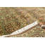 Wool Oriental Area Rug