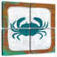 Crabe Brampt-109133824