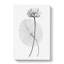 White Egyptian Lotus - Wrapped Canvas Print-55299346