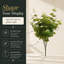Faux plante d'eucalyptus