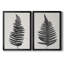Toile encadrée haut de gamme Forest Fern III - prête à être accrochée-2059010752-2059010754