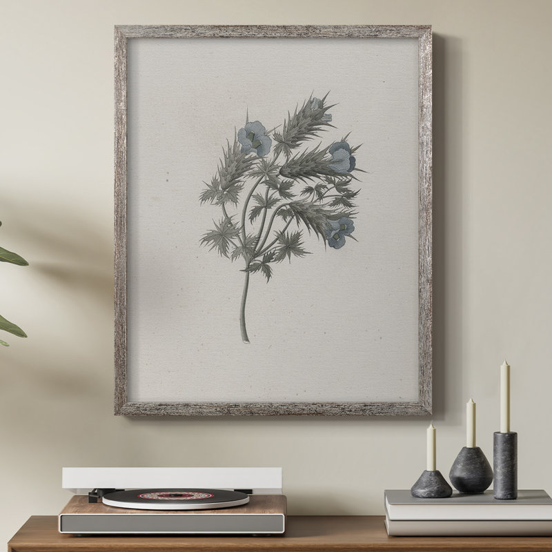 Impression florale vintage encadrée CCXI - bois massif, H 21 po x l 17 po