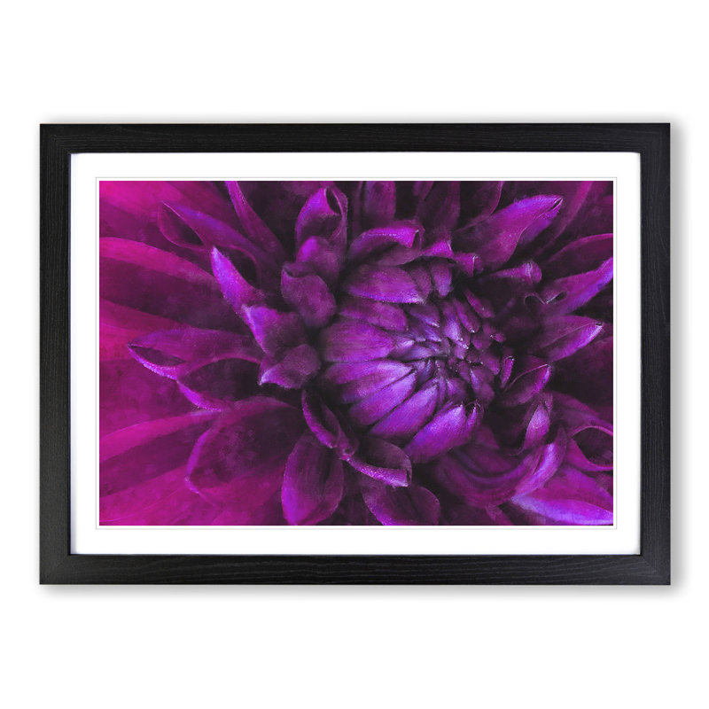 Purple Flower Vol.1 - Framed Print, 36cm H x 48cm W x 2cm D, Black Framed