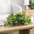 Artificial Fake Grape Vine Plants In Planter