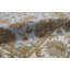 Mountain King One-of-a-Kind 6'1" X 9'2" Area Rug