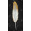 Golden feather - 24"x48" Framed canvas