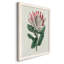 Protea N13 - Peinture sur toile encadrée-267897610-267897842