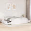 Losurdo Solid Wood Bed-315125629-315125585