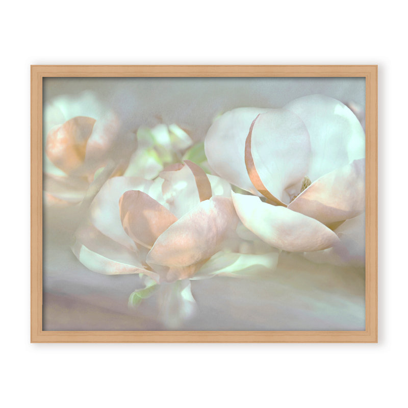 Nature Inspired Magnolia Dreams, 24" H x 30" W x 1.125" D, Framed Matted Print, White